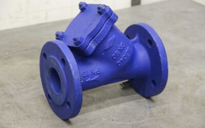 Alternative view of Schmutzfänger von ARI - DN50  PN6