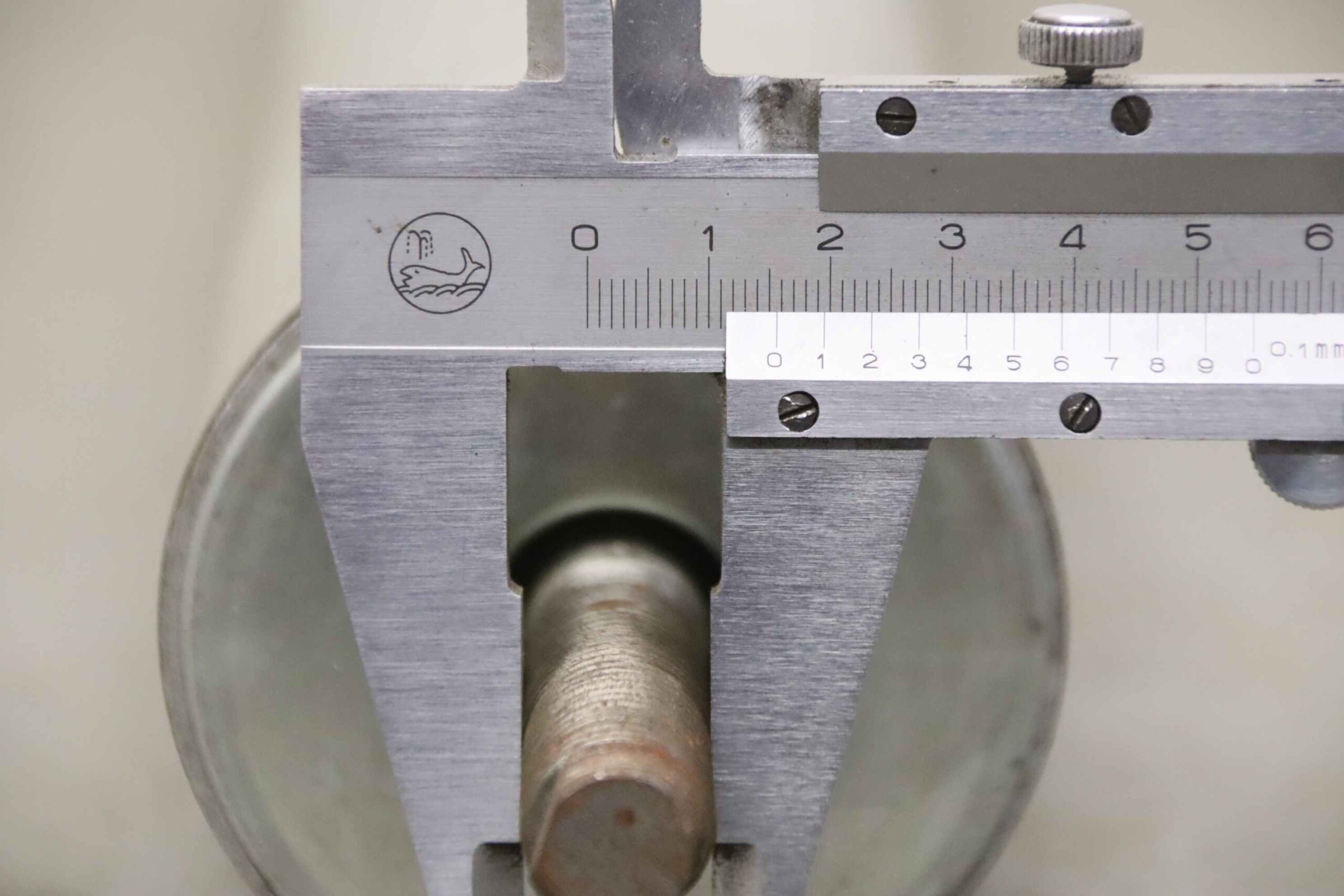 Förderbandrollen Transportrollen von unbekannt - Ø 80 x 855 mm – Bild 5