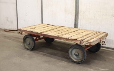 Schwerlast-Transportwagen 3 Tonnen von Kraft - 2000/1000/H520 mm