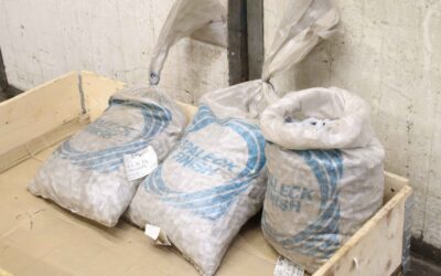 Schleifkörper 76 kg von Spaleck - C 15 x 30 ZS  Ultra-Chips