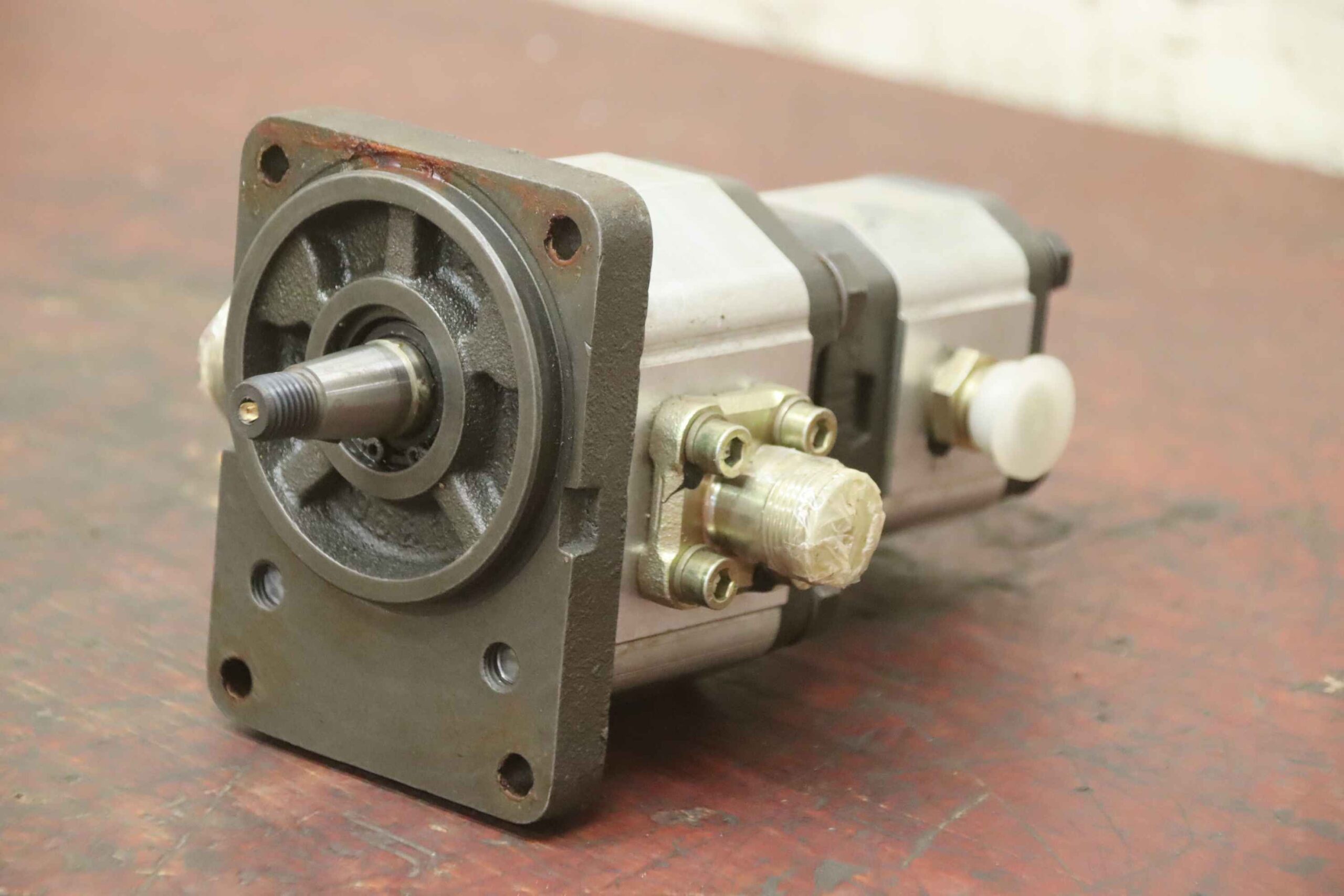 Doppelte Hydraulikpumpe von Pedro Roquet - 1LS9 3DJ23FR 1L03DB24R