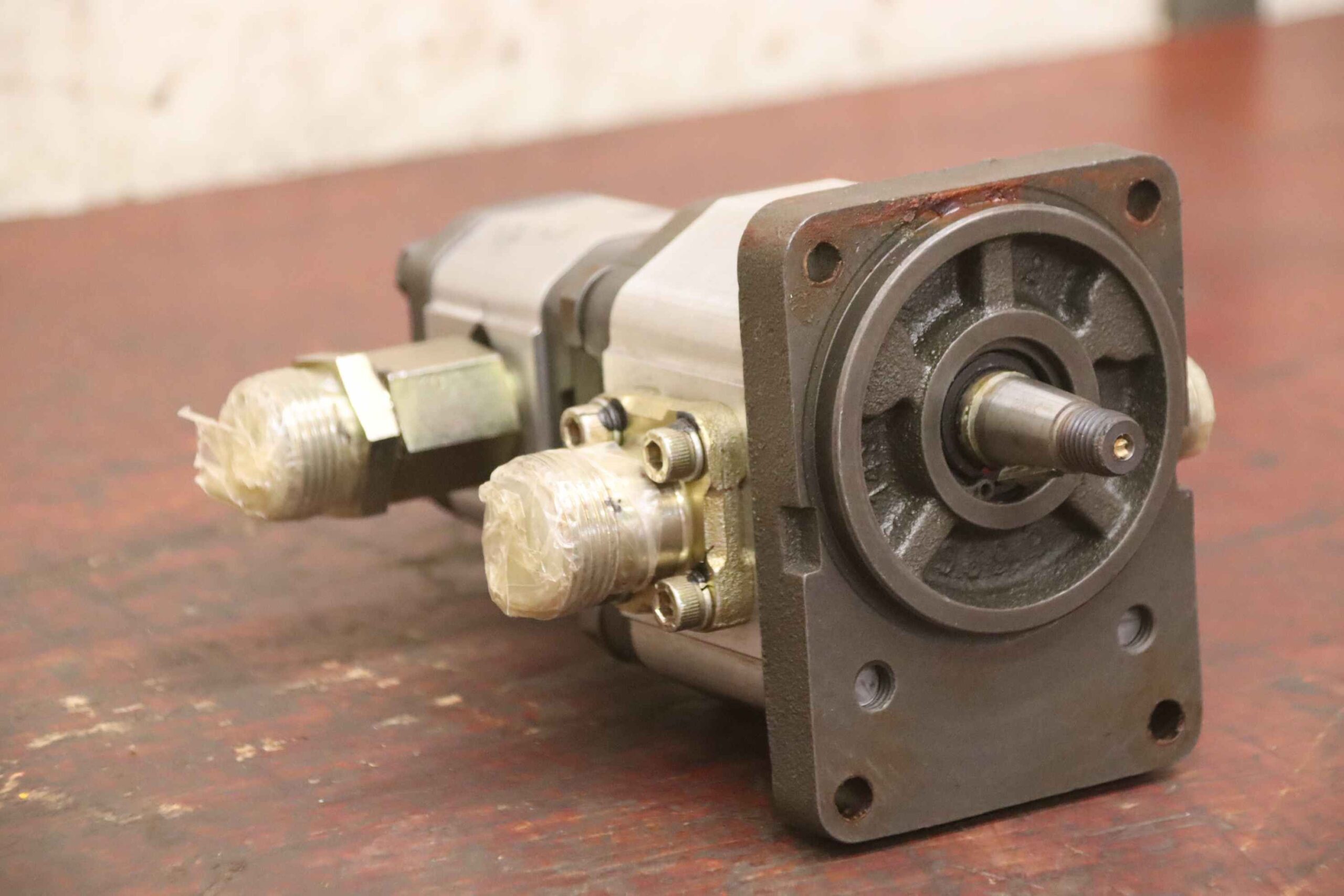 Doppelte Hydraulikpumpe von Pedro Roquet - 1LS9 3DJ23FR 1L03DB24R – Bild 2