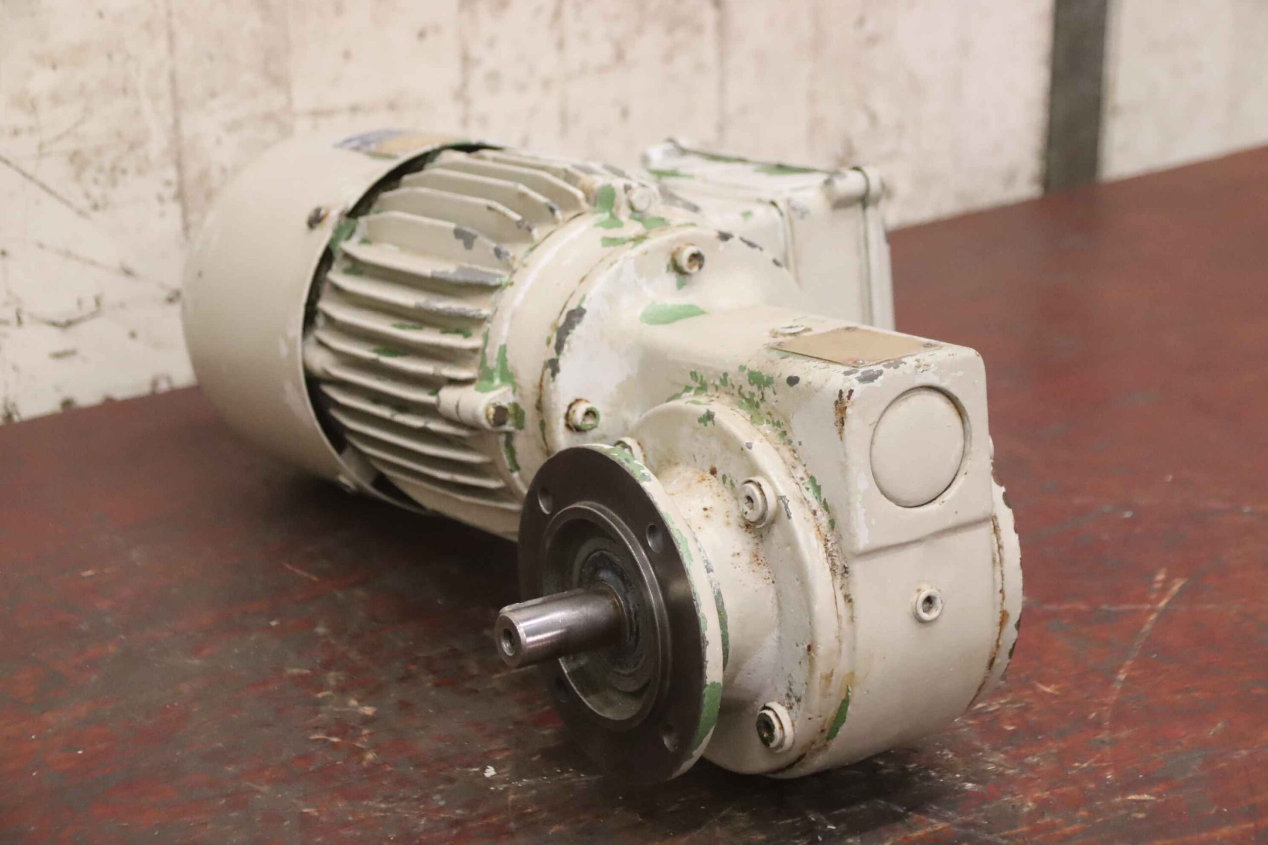 Getriebemotor 0,18 kW 11 U/min von MAZ - 80D S1 B REL 80S/6 K4 – Bild 2