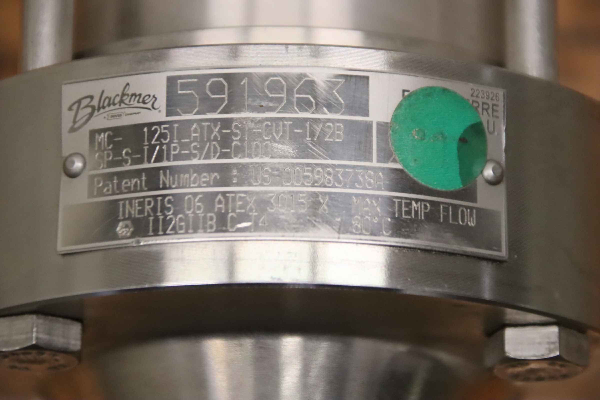 Ringkolbenpumpe 0,37 kW von Blackmer - MC-1251_ATX-ST-CVT-1/2B SP-S-I/1P-S/D-C100 – Bild 6