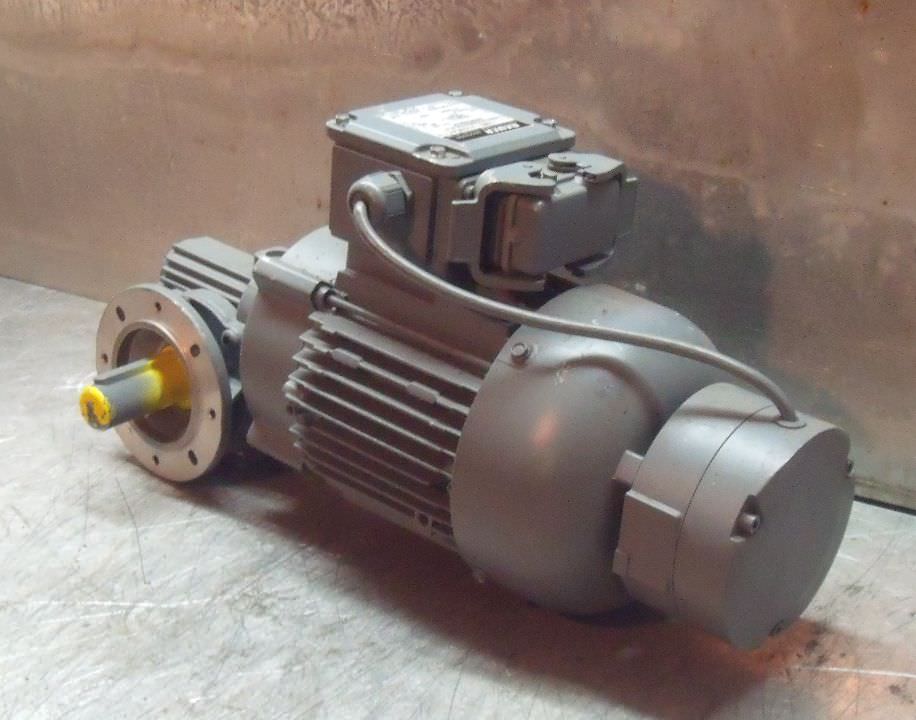 Getriebemotor 0,37 kW 140 U/min von BAUER - BS03-37V/D08SA4-TOF-ST-K – Bild 2