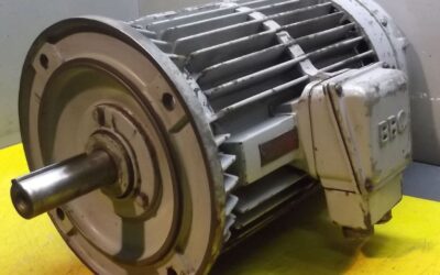 Elektromotor 15 kW 1450 U/min von Brown - QU160LA4