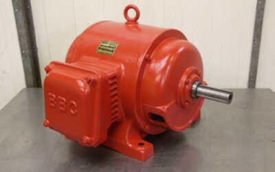 Elektromotor 21 kW 1440 U/min von Brown - SWK10E-4