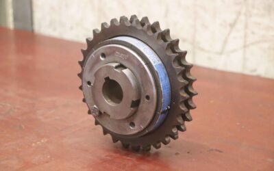 Rutschnabe von Mayr - 3/100.210