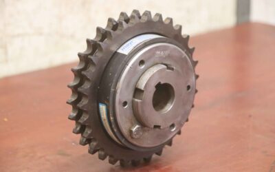 Alternative view of Rutschnabe von Mayr - 3/100.210