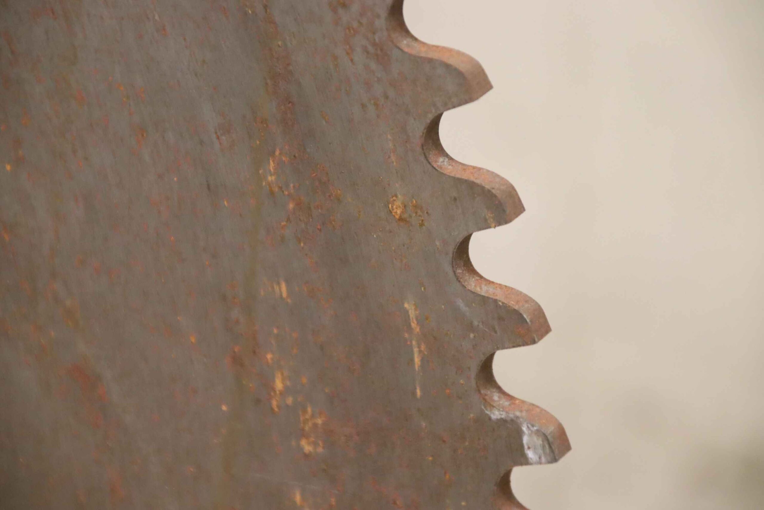 Sägeblatt Rohling von unbekannt - Ø 805 x 5 x 100 mm – Bild 4