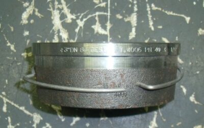 Rückschlagventil DN80 von Gestra - PN40