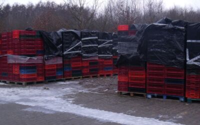 Transport-Stapelkästen von Kunststoff Stück - 400/600/170 – Bild 4