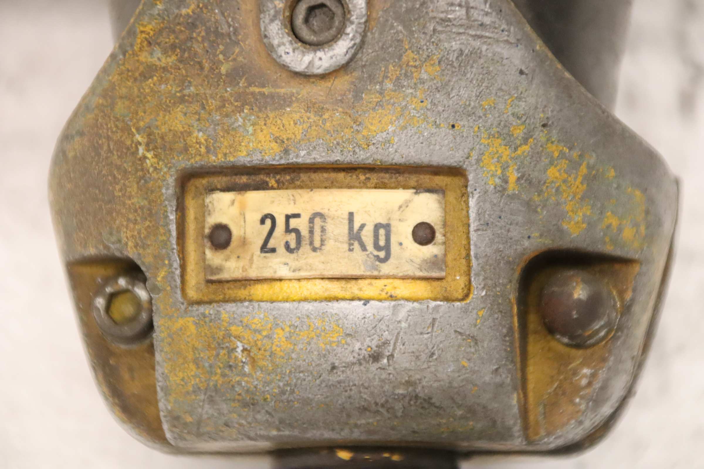 Steuerschalter mit Kranhaken 250 kg von Demag - DSM4 – Bild 5